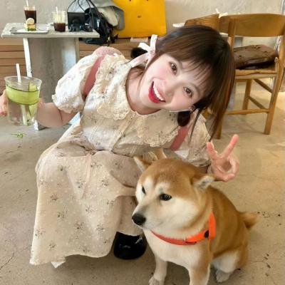 九个完美陌生人第一季